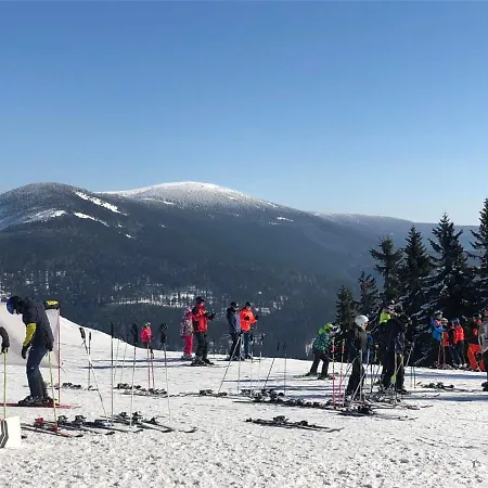 Resident-3 By Interhome Harrachov