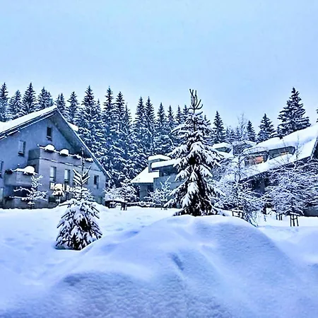Apartment Resident By Interhome Harrachov